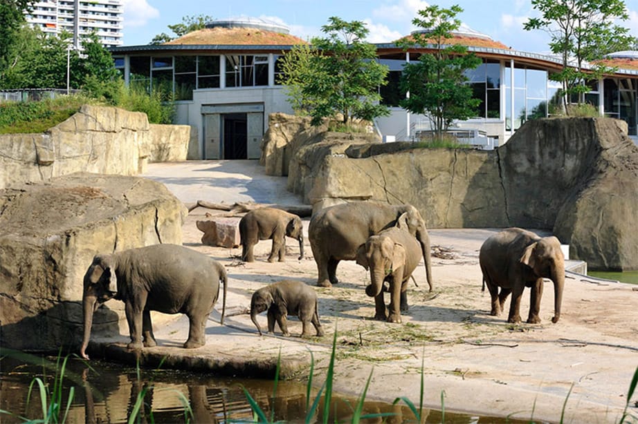 Elefantenpark-2.jpg